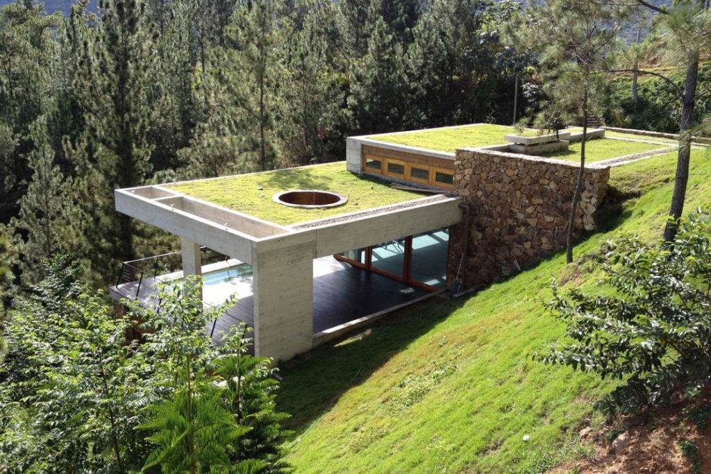 Дом, где сбываются мечты