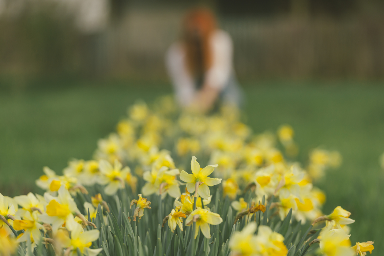 Весенние ритуалы для синхронизации с собой и с временем года