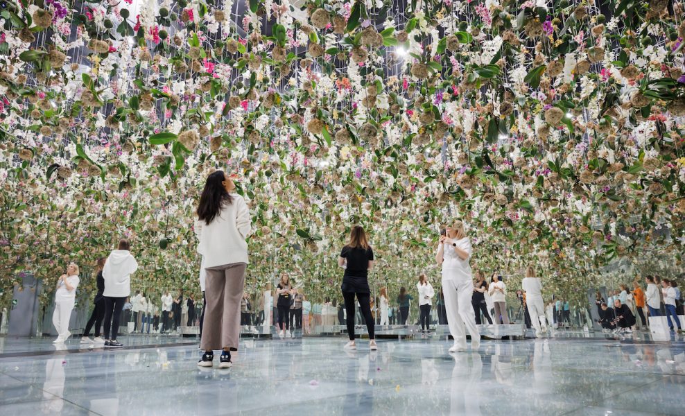 Тане Махута: первый иммерсивный спектакль для беременных женщин