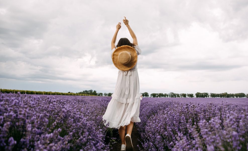 Метод Элькина: возвращаем телу голову