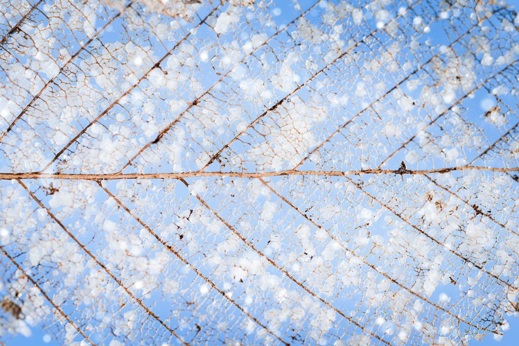 Тревожность за пару дней до Нового года: как остановить гонку мыслей?