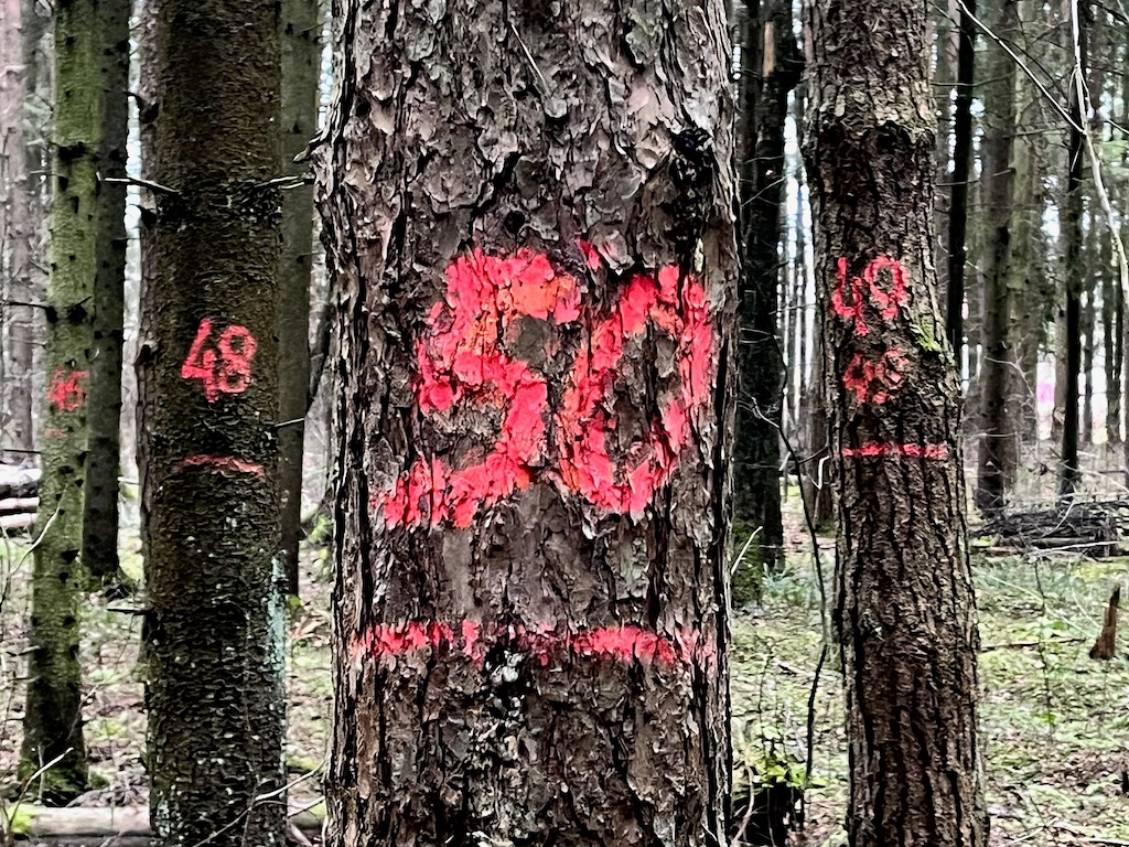 5 смыслов и идей, к которым я пришла в 50 лет