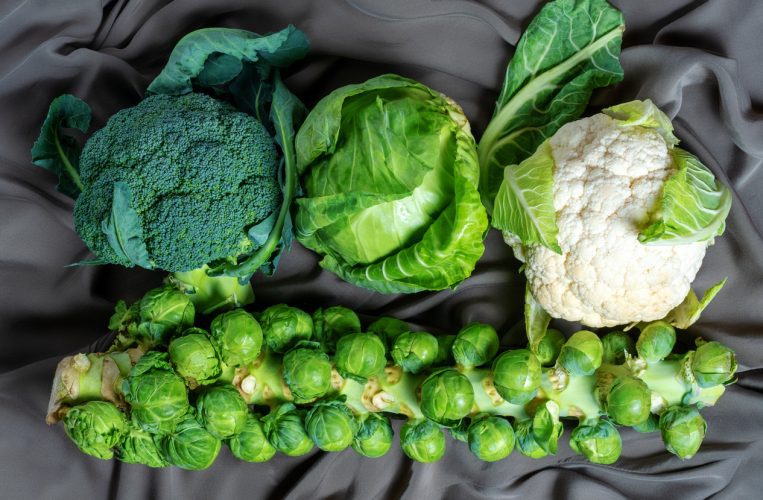 Diffrent kinds of cabbage close up on fabric background, top view