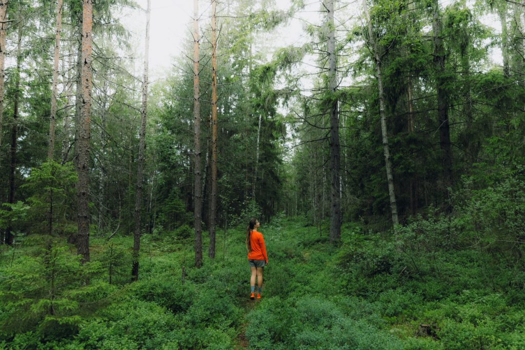 Весенний зов: куда ведет твоя тропа? Тест на проявленность