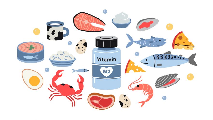 A jar of vitamin B12 and foods enriched with it. Sea food, fish, meat, dairy products and eggs set. Isolated vector illustration, hand drawn, fla
